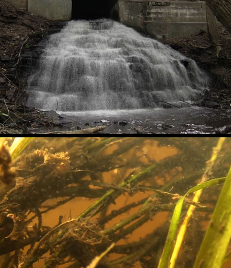 still images of waterfall on st croix river and underwater from digital video