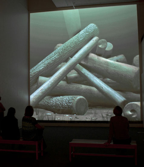 photo of logjam 3d animation in gibson gallery at suny potsdam